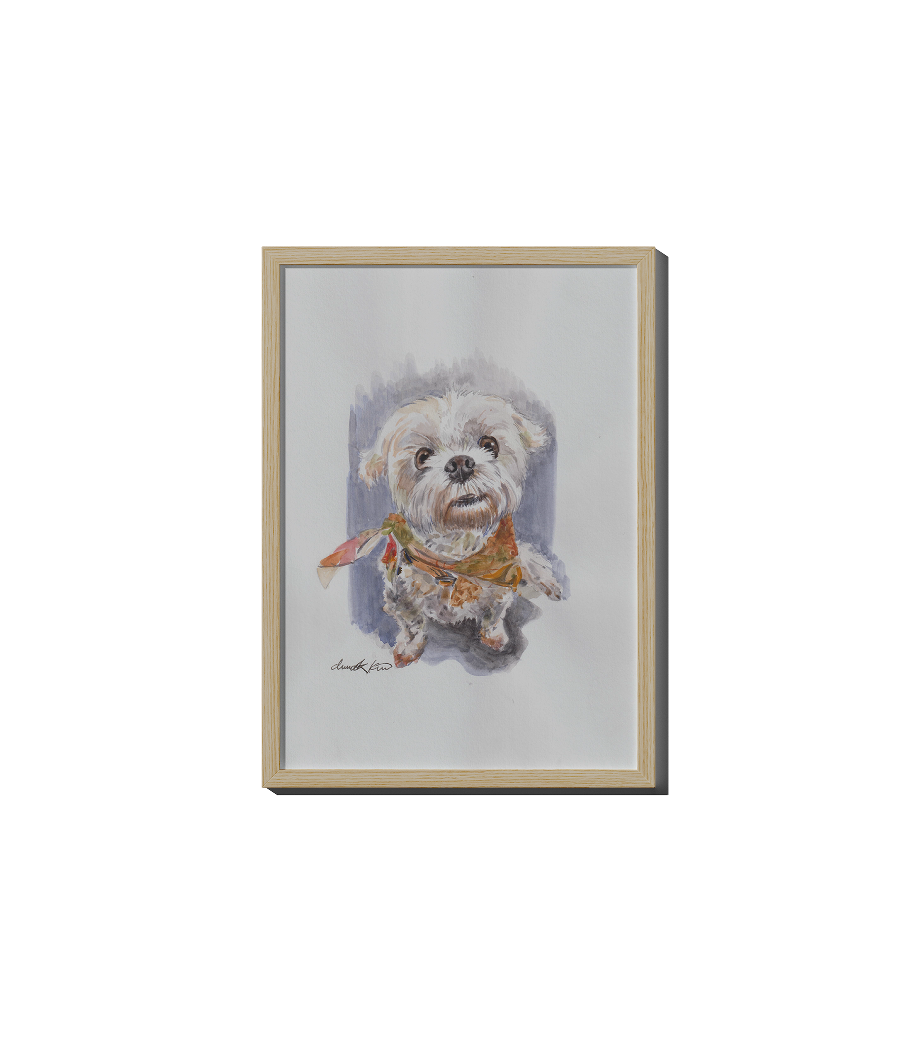 Original Shih Tzu