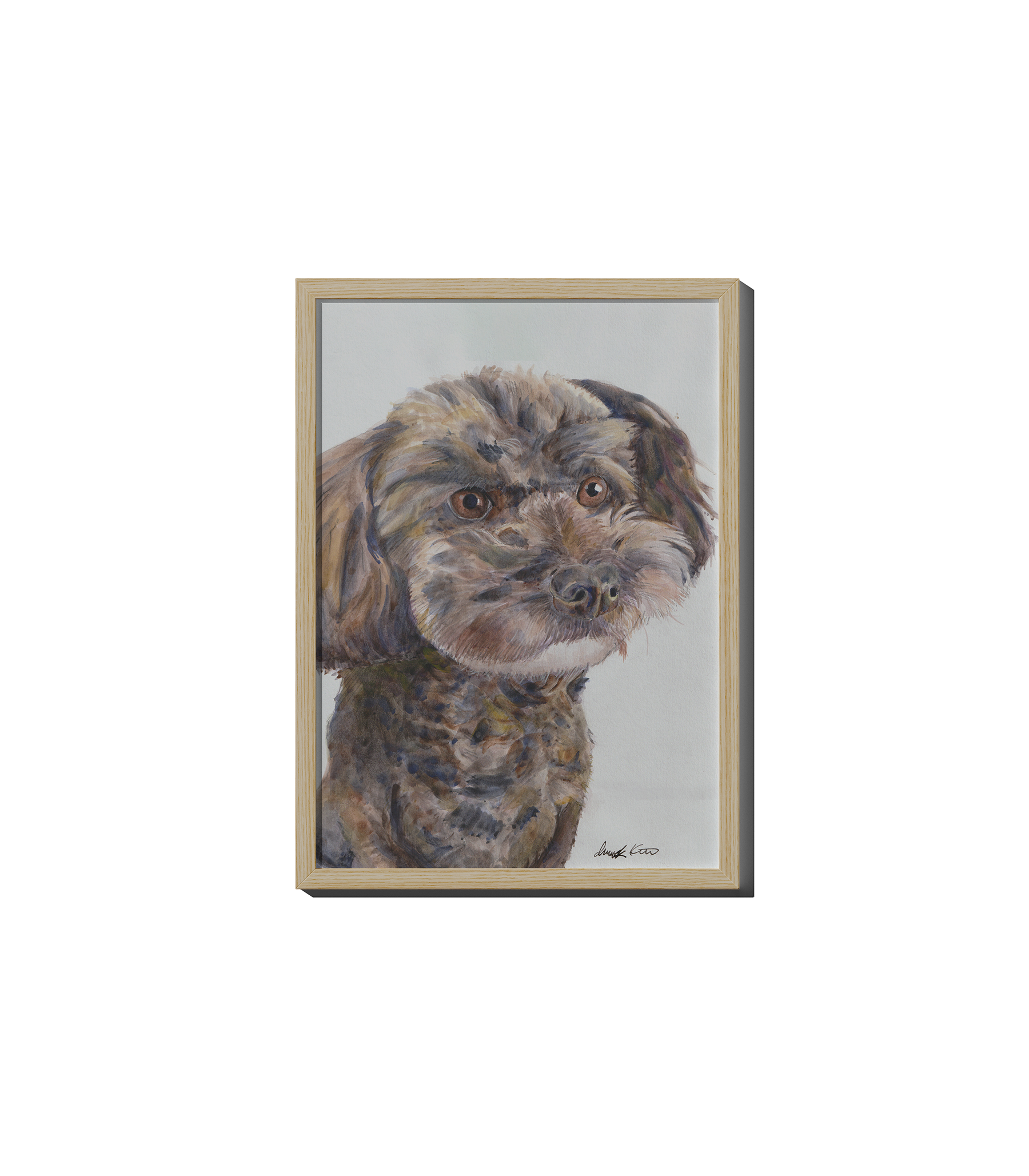 Original mixed poodle